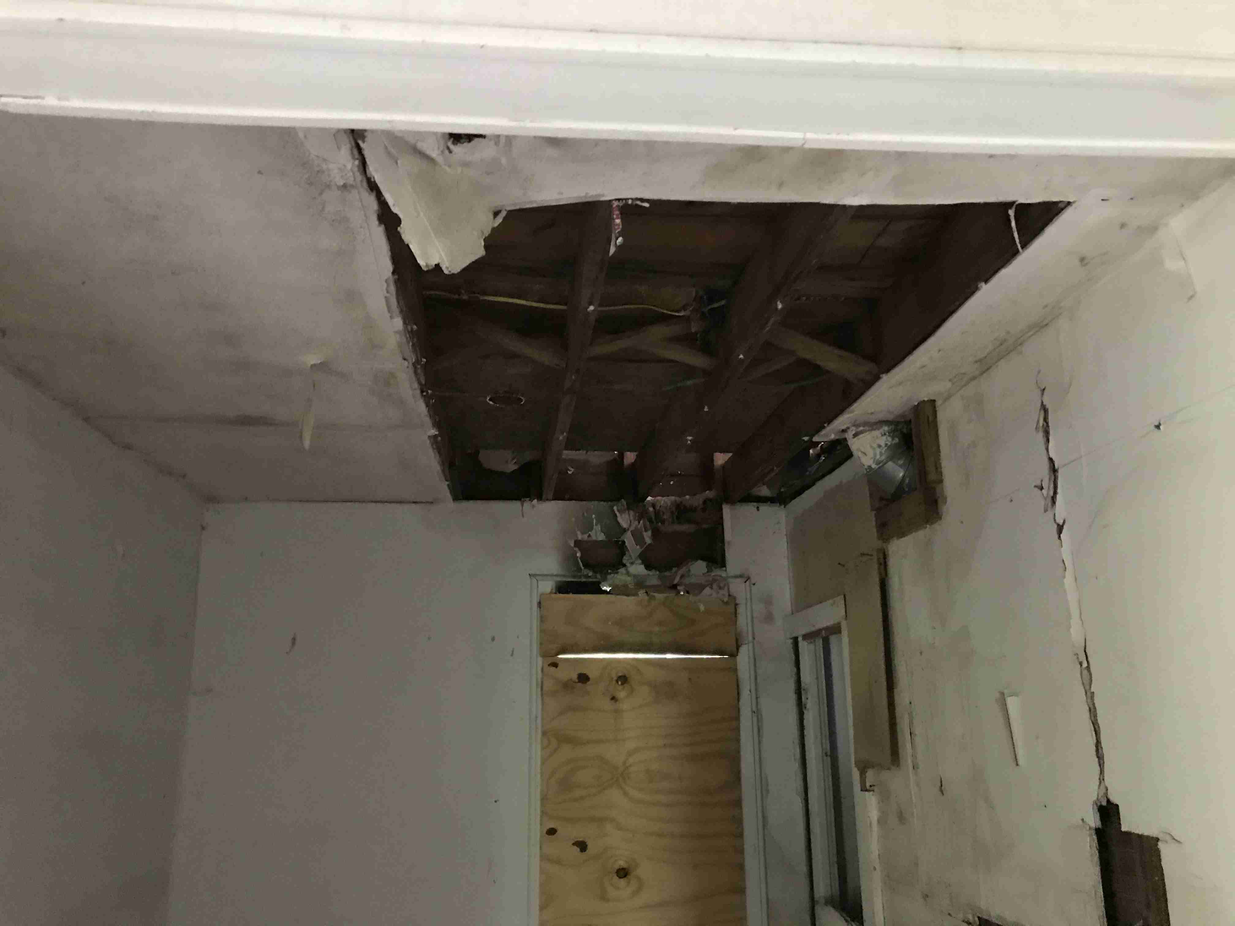 Photo Sep 10, 2 25 40 PM.jpg